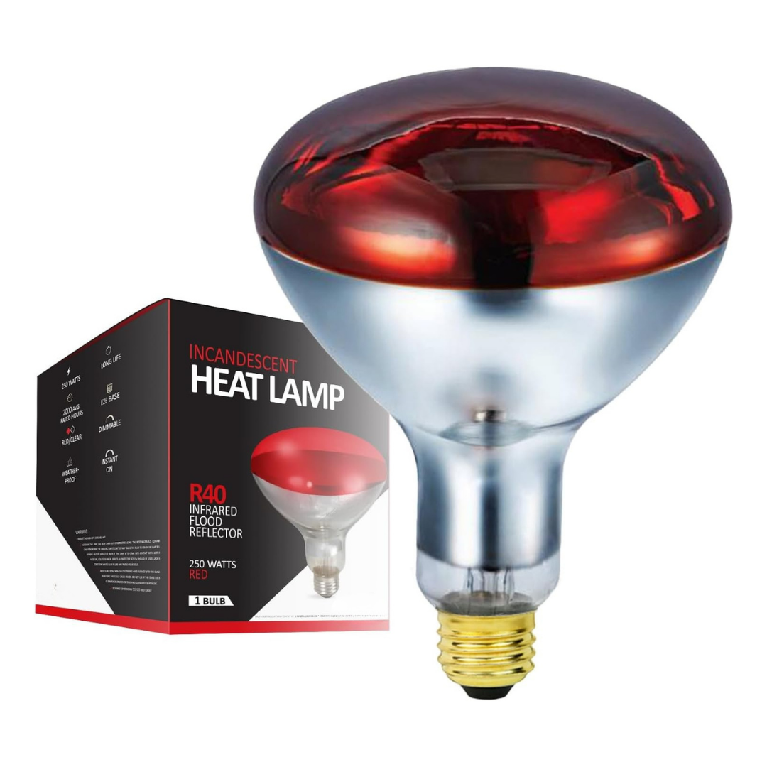 250W Infrared R40 Heat Lamp Bulb for Outdoor Spaces